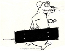 08 -Rat with guitar case- Rational Records Artwork